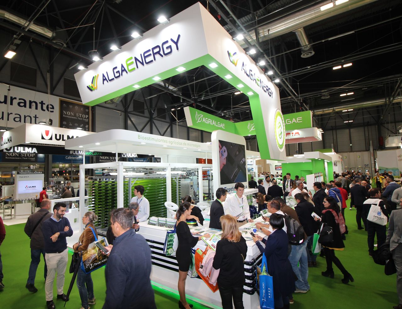 AlgaEnergy